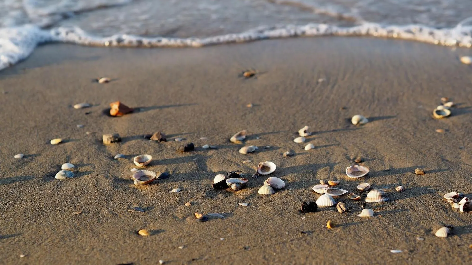 Elegant Seaview Flat With Private Terrace Apartment Bibione Italy